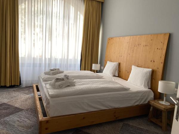 Thermal Hotels & Walliser Alpentherme Leukerbad : photo 1 de la chambre suite lit king-size grand bain
