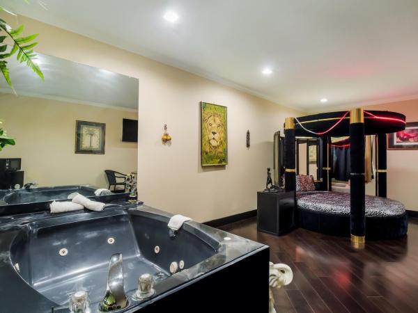 Americas Best Value Platinum Inn & Suites : photo 2 de la chambre hébergement 1 lit king-size avec jacuzzi 