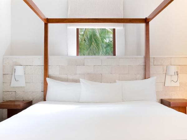 Iberostar Waves Cozumel - All Inclusive : photo 4 de la chambre suite (1 adulte)