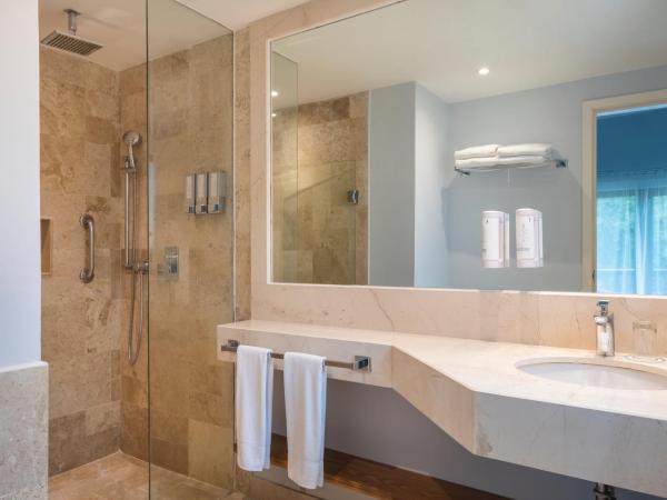 Iberostar Waves Cozumel - All Inclusive : photo 5 de la chambre hébergement double - vue sur piscine (1 adulte)