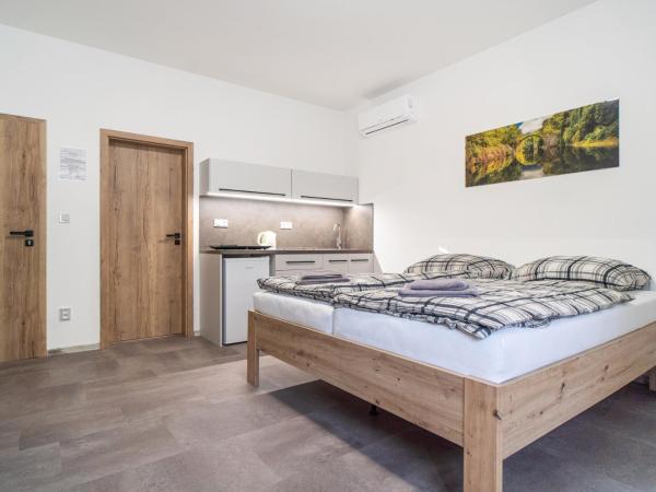 Apartmány U Jiříka : photo 2 de la chambre chambre double avec salle de bains privative