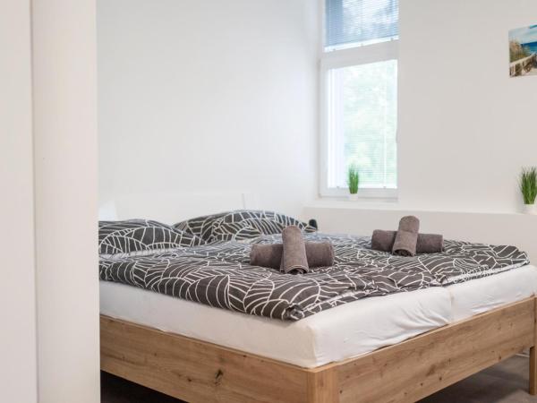 Apartmány U Jiříka : photo 7 de la chambre chambre double avec salle de bains privative