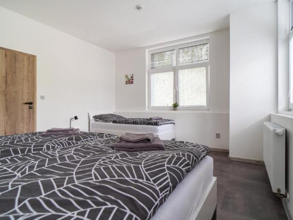 Apartmány U Jiříka : photo 2 de la chambre suite familiale deluxe