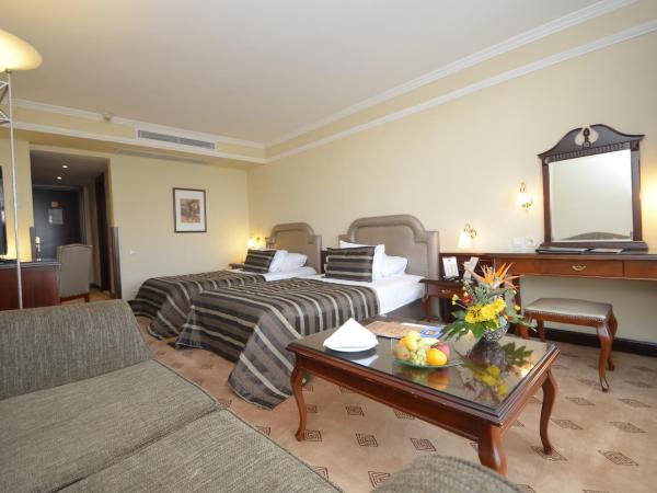 Karaca Hotel : photo 1 de la chambre chambre standard