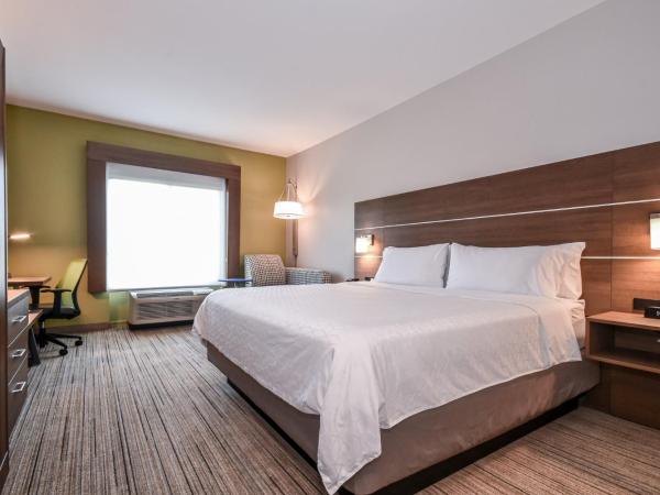 Holiday Inn Express Charlotte Southeast - Matthews, an IHG Hotel : photo 2 de la chambre chambre lit king-size standard