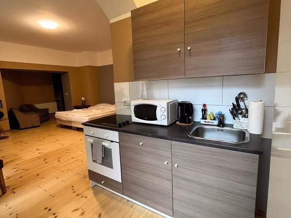 Thomas Apartments : photo 2 de la chambre appartement avec terrasse