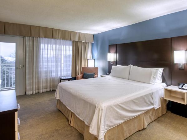 Holiday Inn & Suites Atlanta Airport North, an IHG Hotel : photo 5 de la chambre suite king 1 chambre avec balcon