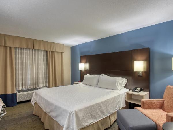 Holiday Inn & Suites Atlanta Airport North, an IHG Hotel : photo 2 de la chambre chambre lit king-size standard