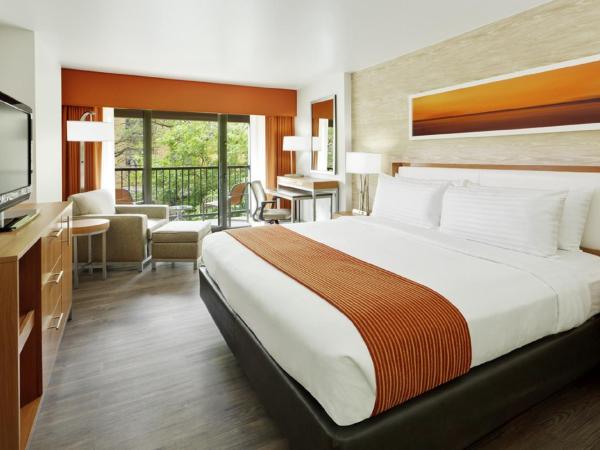 Holiday Inn San Antonio-Riverwalk, an IHG Hotel : photo 1 de la chambre chambre standard