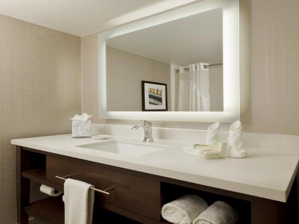 Holiday Inn San Antonio-Riverwalk, an IHG Hotel : photo 3 de la chambre chambre standard