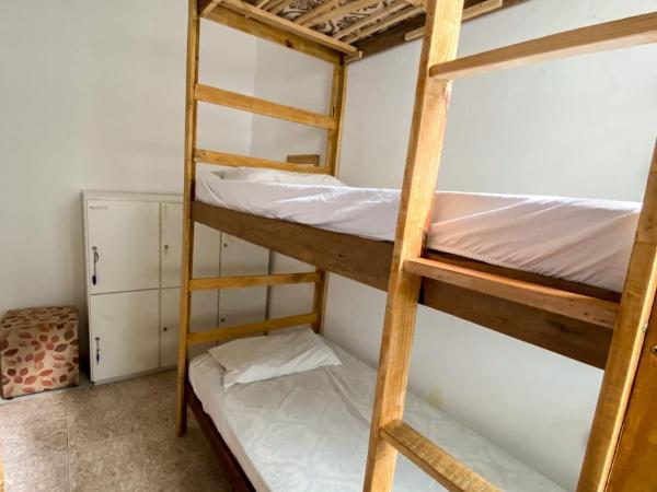 Hostel Sol da Barra : photo 4 de la chambre lits superposés dans dortoir masculin