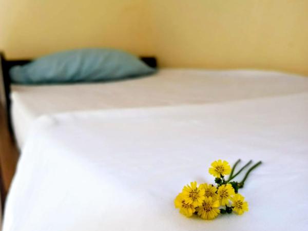 Hostel Sol da Barra : photo 3 de la chambre lit dans dortoir pour femmes de 4 lits