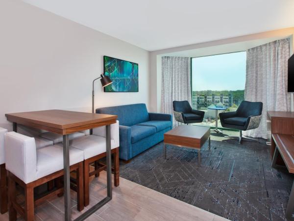 Holiday Inn Express Hotel & Suites Virginia Beach Oceanfront, an IHG Hotel : photo 4 de la chambre suite 1 chambre