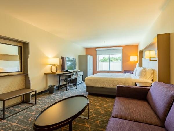 Hotel Spice & Sky Atlanta Perimeter : photo 2 de la chambre suite junior lit king-size - non-fumeurs
