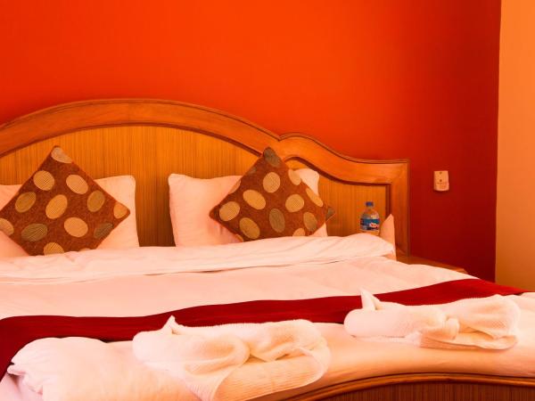 Hotel River Park : photo 10 de la chambre chambre double ou lits jumeaux - vue sur montagnes