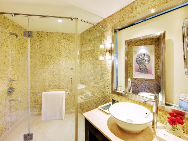 The Golkonda Hotel : photo 4 de la chambre studio avec lit simple