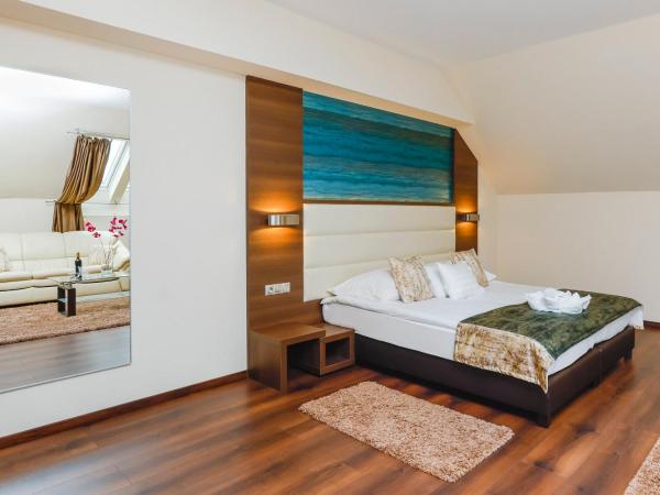 Hotel Villa Völgy Wellness & Konferencia : photo 2 de la chambre superior suite - attic