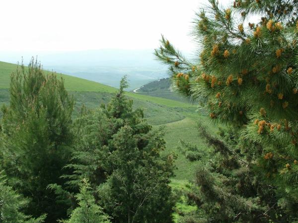 B&B & Residence Pozzo Misseo : photo 10 de la chambre chambre triple