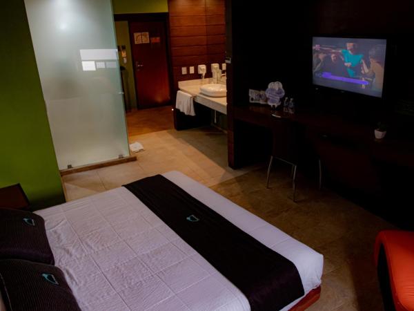 Hotel Contadero Suites y Villas : photo 5 de la chambre chambre simple avec salle de bains