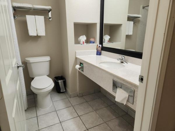 Baymont by Wyndham Houston Brookhollow : photo 8 de la chambre chambre lit king-size - non-fumeurs