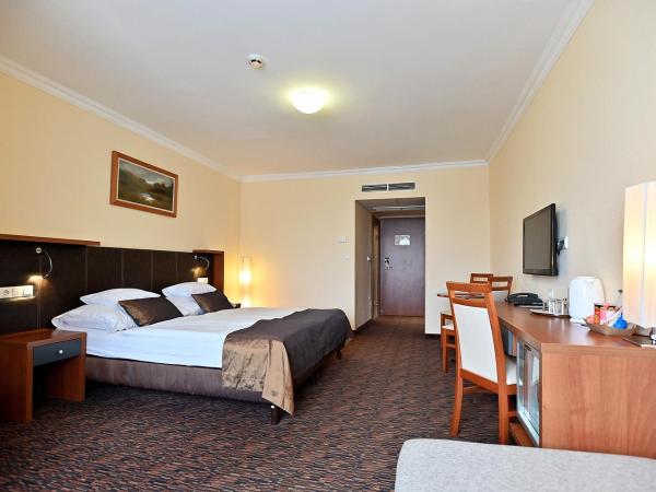 Hotel Eger & Park : photo 1 de la chambre chambre double standard avec lit d'appoint