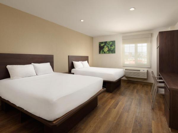 Extended Suites Cancun Cumbres : photo 1 de la chambre studio lit queen-size 