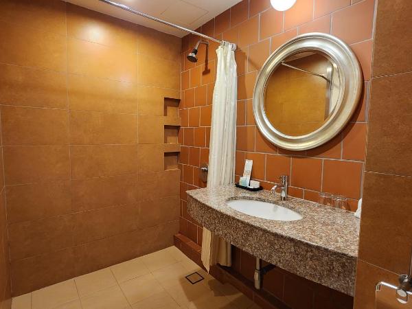 Swan Garden Hotel : photo 5 de la chambre chambre lit king-size premier