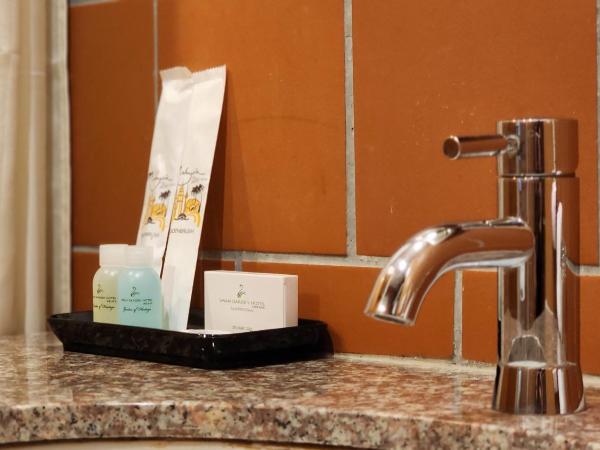 Swan Garden Hotel : photo 7 de la chambre chambre lit king-size premier