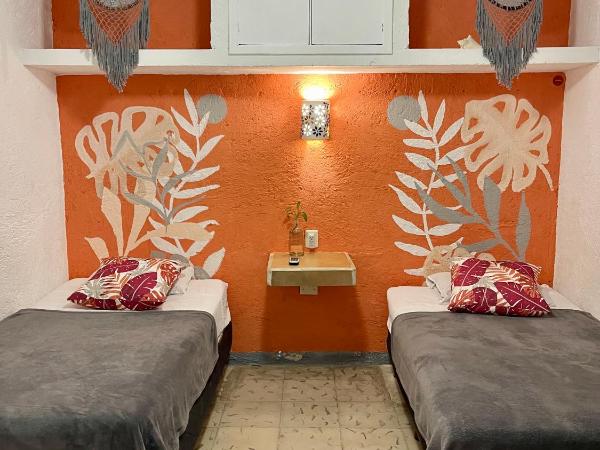 Itzé Hostel : photo 1 de la chambre chambre lits jumeaux