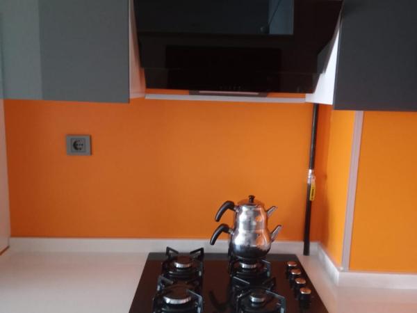 Ankara Esenboğa Airport Luxury Rezidance : photo 1 de la chambre chambre lits jumeaux pour personnes à mobilité réduite