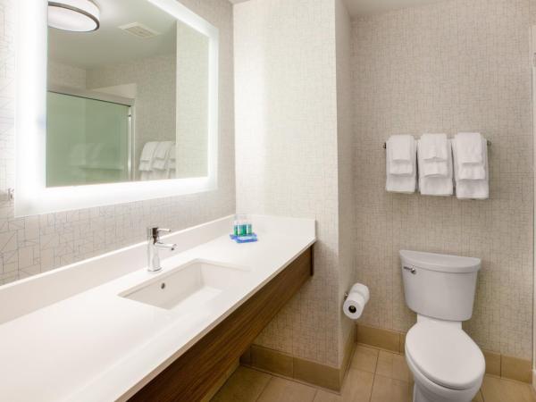 Holiday Inn Express & Suites - Houston - N Downtown, an IHG Hotel : photo 9 de la chambre chambre lit king-size standard