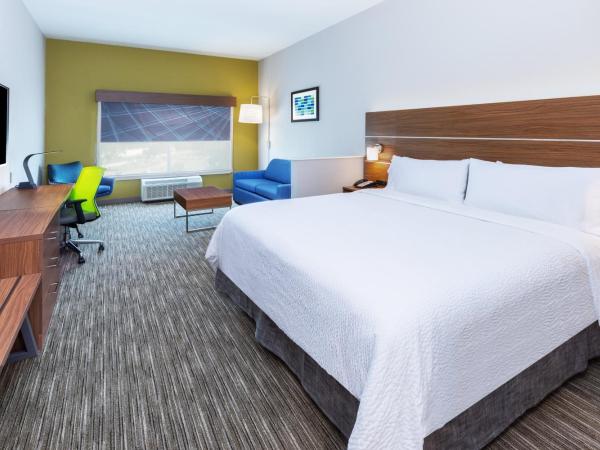 Holiday Inn Express & Suites - Houston - N Downtown, an IHG Hotel : photo 7 de la chambre chambre lit king-size exécutive avec canapé-lit