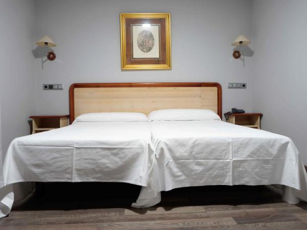 Cesaraugusta : photo 3 de la chambre chambre double ou lits jumeaux