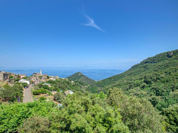 Hôtel de la Corniche : photo 3 de la chambre chambre double avec terrasse