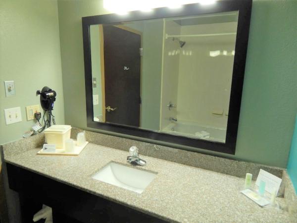 Comfort Suites Tampa - Brandon : photo 1 de la chambre suite lit king-size – non-fumeurs