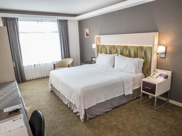 Holiday Inn Queretaro Zona Diamante, an IHG Hotel : photo 4 de la chambre chambre lit king-size standard