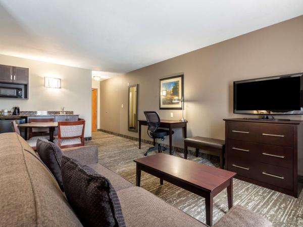 Best Western Plus Pembina Inn & Suites : photo 1 de la chambre suite lit queen-size