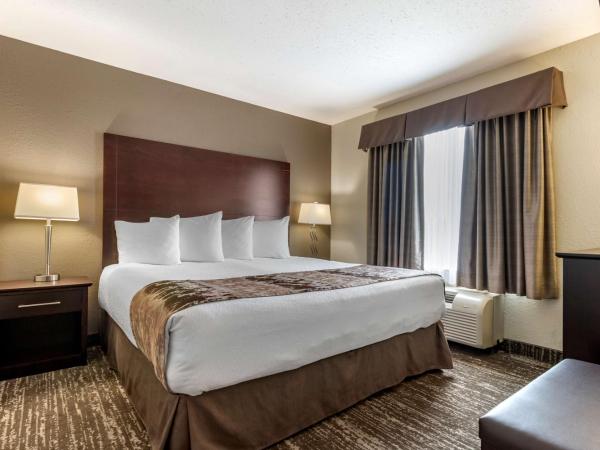 Best Western Plus Pembina Inn & Suites : photo 2 de la chambre suite lit king-size avec baignoire spa