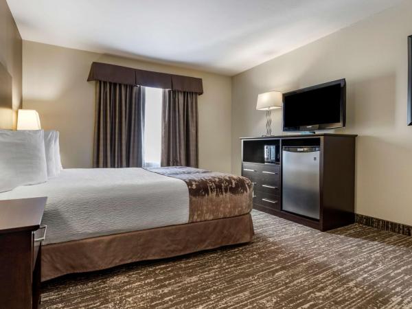 Best Western Plus Pembina Inn & Suites : photo 2 de la chambre chambre lit queen-size - accessible aux personnes à mobilité réduite