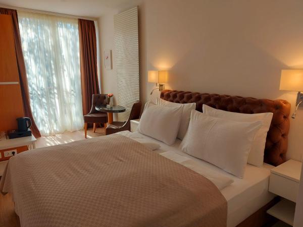 Gartenhotel Altmannsdorf : photo 1 de la chambre chambre double confort - vue sur jardin