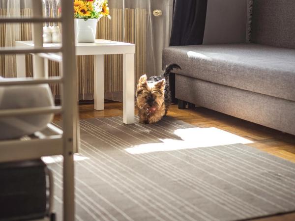 4 Couples & 4 Friends Hostel : photo 1 de la chambre chambre triple