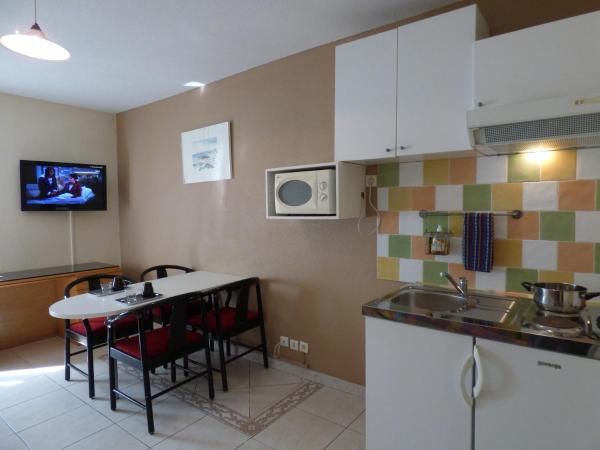 Appart'Hotel Festival Sud Suites - Avignon TGV : photo 6 de la chambre appartement 1 chambre