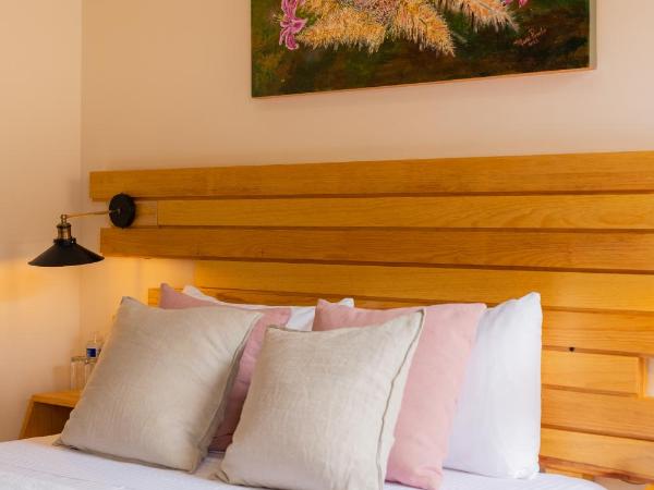 ArcoSodi Hotel Boutique : photo 2 de la chambre chambre standard lit queen-size