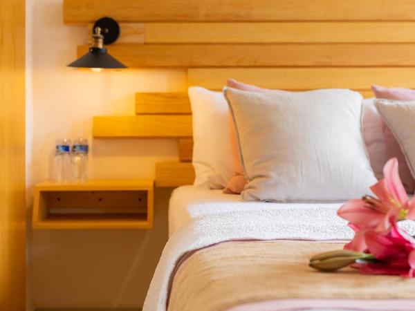 ArcoSodi Hotel Boutique : photo 6 de la chambre chambre standard lit queen-size