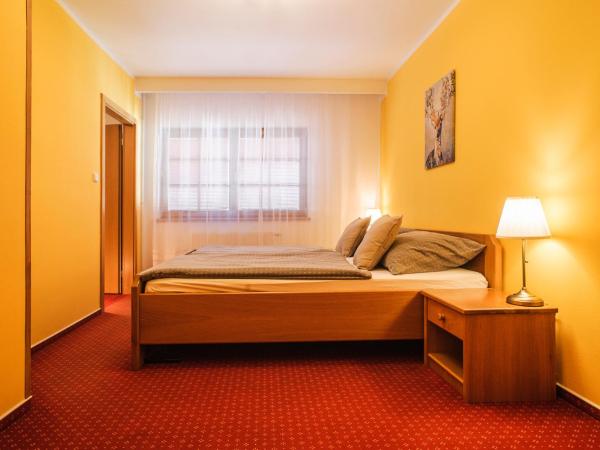 Penzion Lhotka : photo 4 de la chambre chambre double avec terrasse