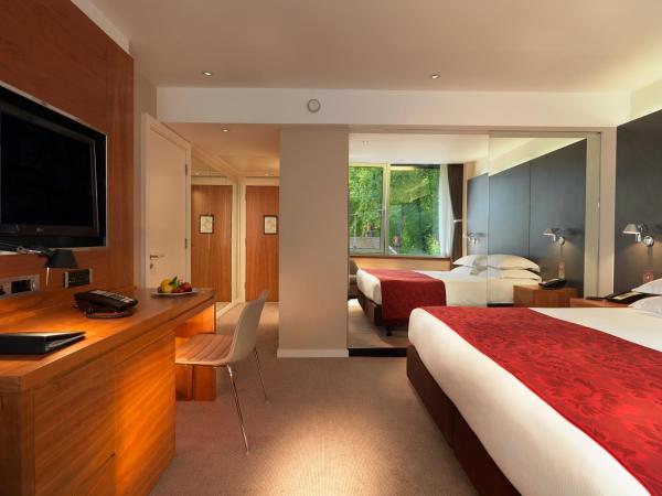 Royal Garden Hotel : photo 4 de la chambre chambre double de luxe 