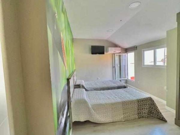 Hostal Viena Plaza Nueva : photo 3 de la chambre chambre double