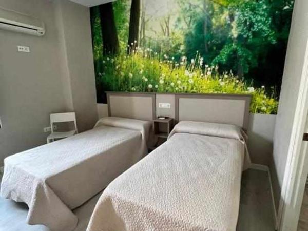 Hostal Viena Plaza Nueva : photo 3 de la chambre chambre lits jumeaux