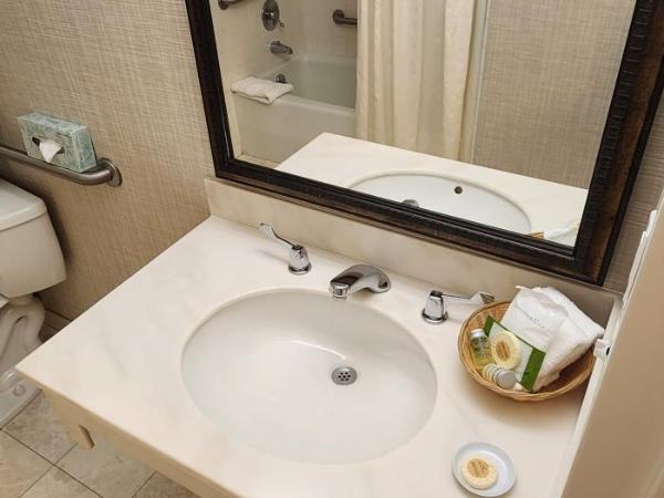 Chelsea Inn : photo 6 de la chambre chambre lit king-size - accessible aux personnes à mobilité réduite