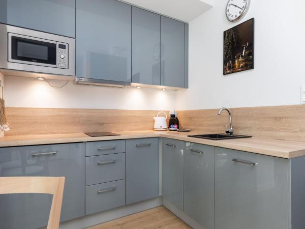 Podczele Seashore SPA & Jacuzzi Apartments with Parking by Noclegi Renters : photo 4 de la chambre appartement 1 chambre